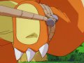 toon_1239207202639_Pokemon-CharizardFeet06.jpg